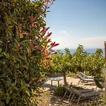 Iris, Luxury Stone In With Private Infinity Pool, Bbq And Amazing Sea View *