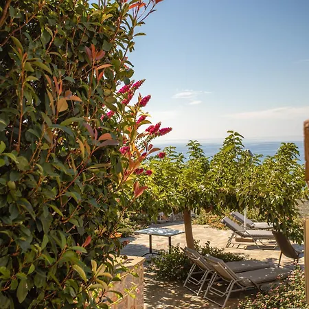 Iris, Luxury Stone In With Private Infinity Pool, Bbq And Amazing Sea View *