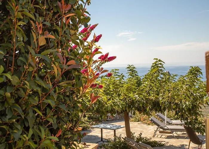 Iris, Luxury Stone In With Private Infinity Pool, Bbq And Amazing Sea View *